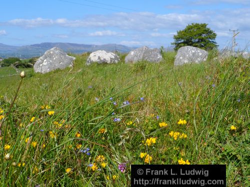 Carrowmore